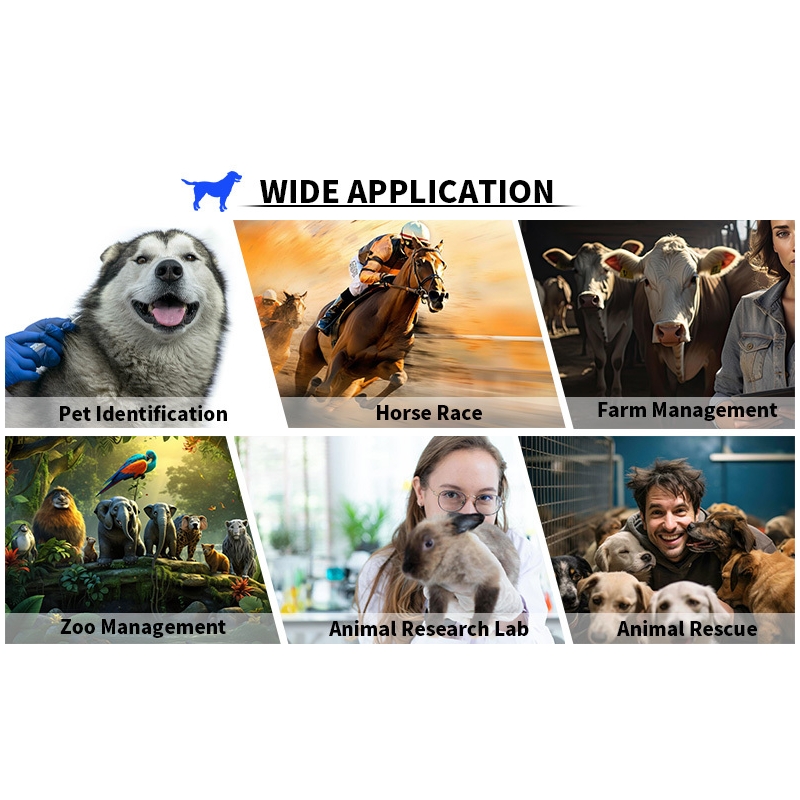 How to efficiently manage cattle, sheep, swine and other ani