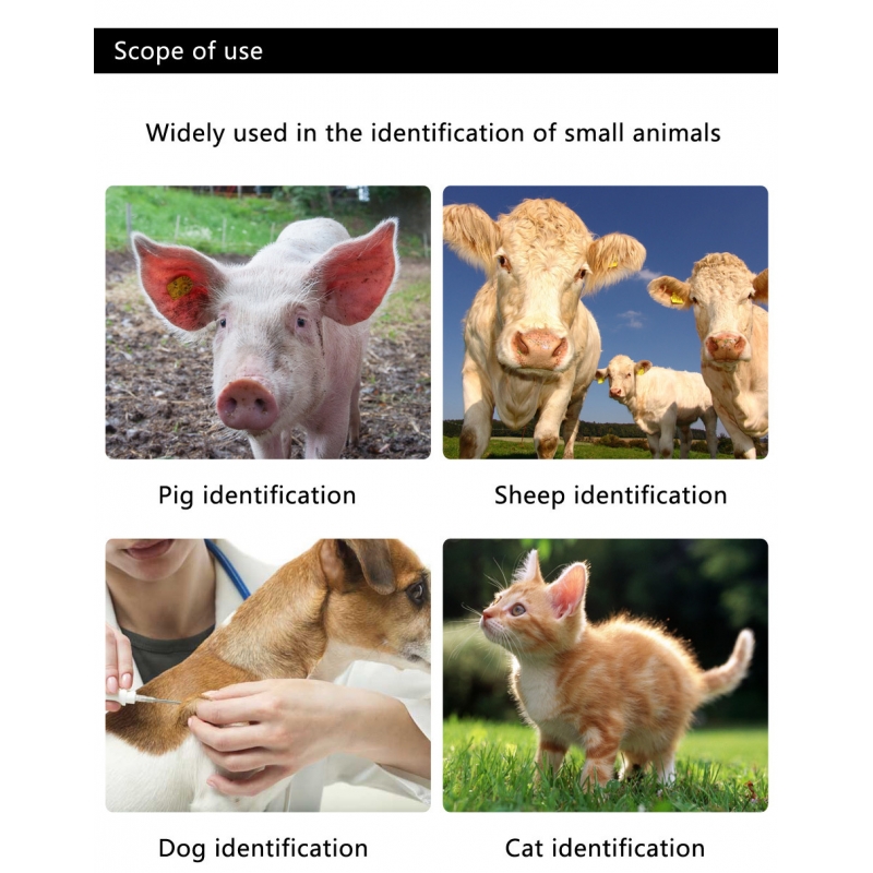 Pet RFID Electronic Microchips